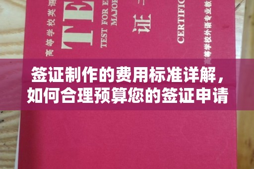 古城签证制作的费用标准详解，如何合理预算您的签证申请成本